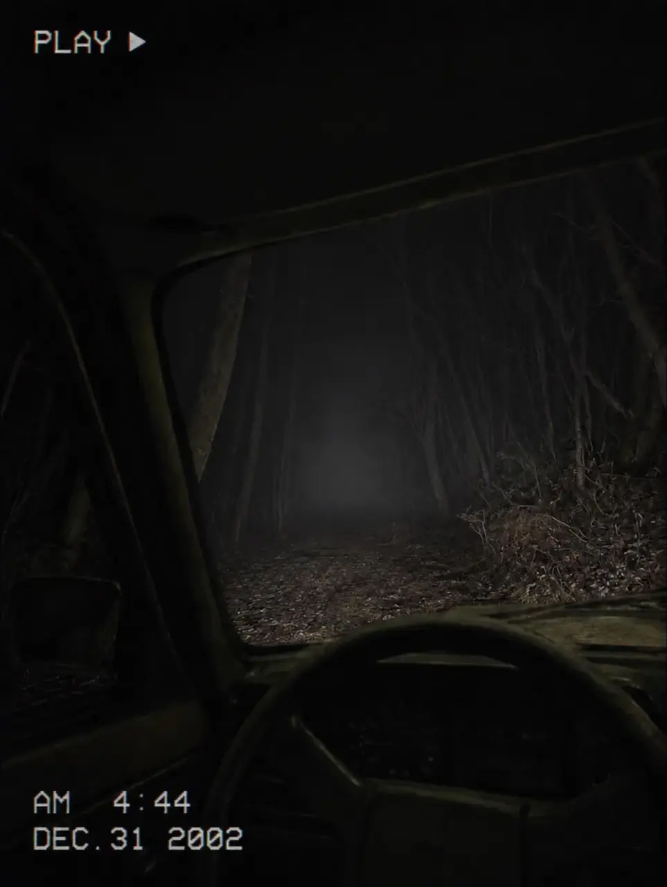 A car window with a view of a dark forest.
