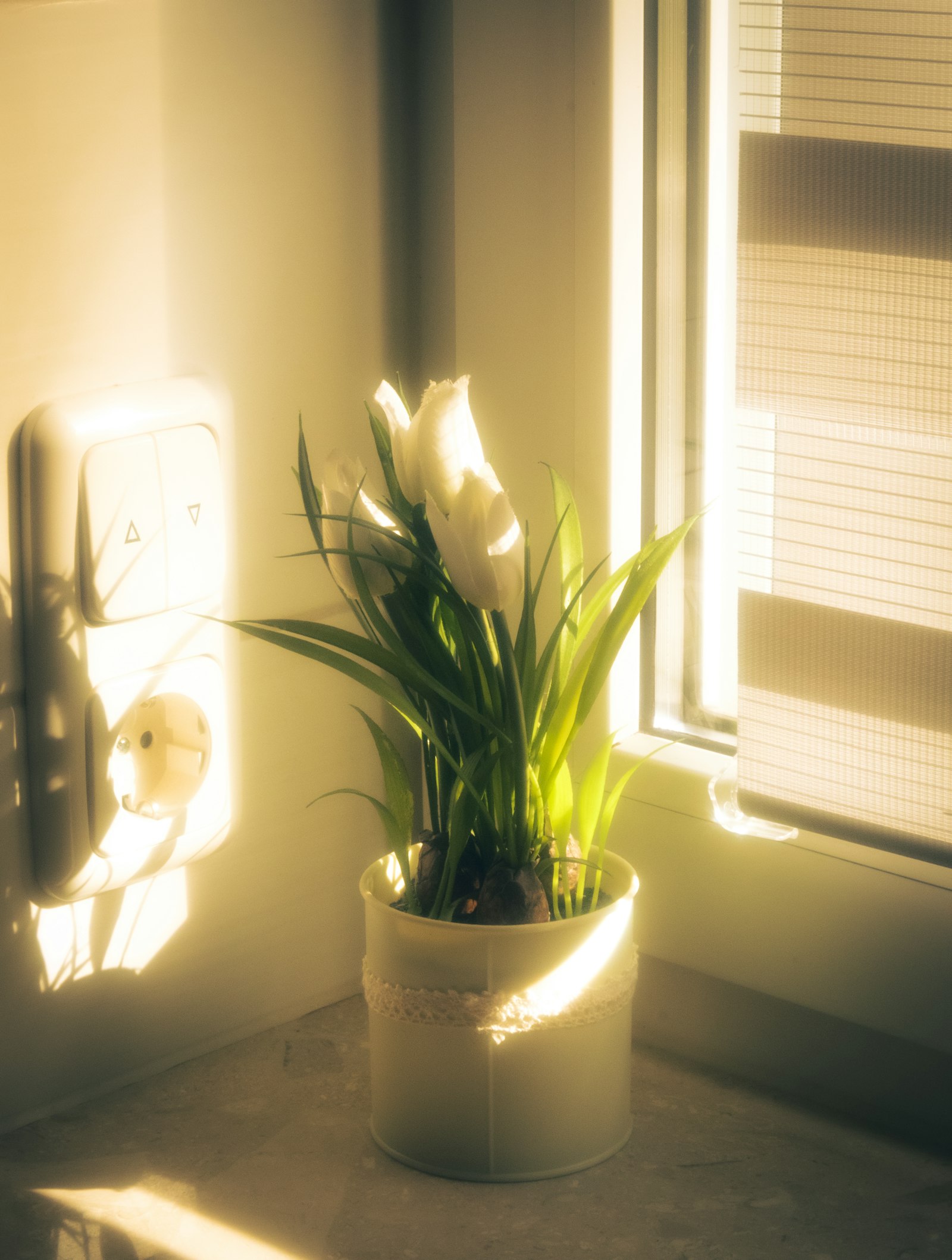 Shadows are part of the design