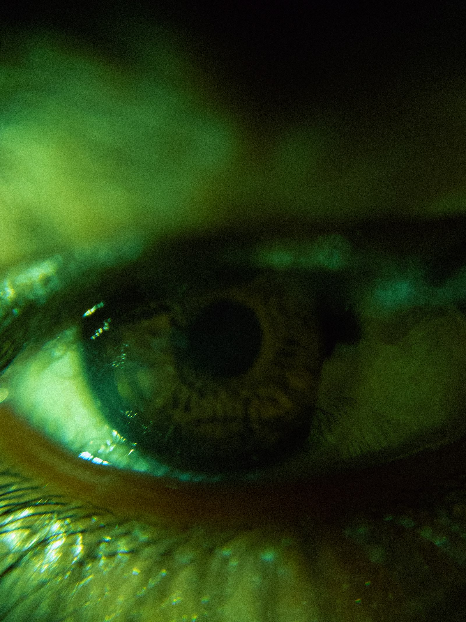 Detail as punctuation — an eye, a trigger, a ring